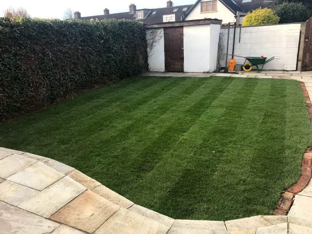 A tidy back garden with freshly mown grass